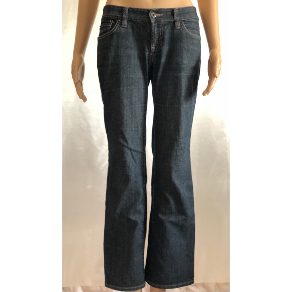 Ann Taylor LOFT Flare Cut Petite Jeans